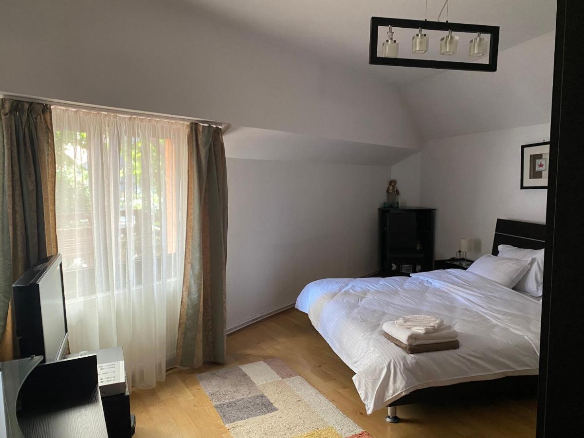 Victoria Gasthaus Rasnov - Charming Vacation House In Rasnov 외부 사진