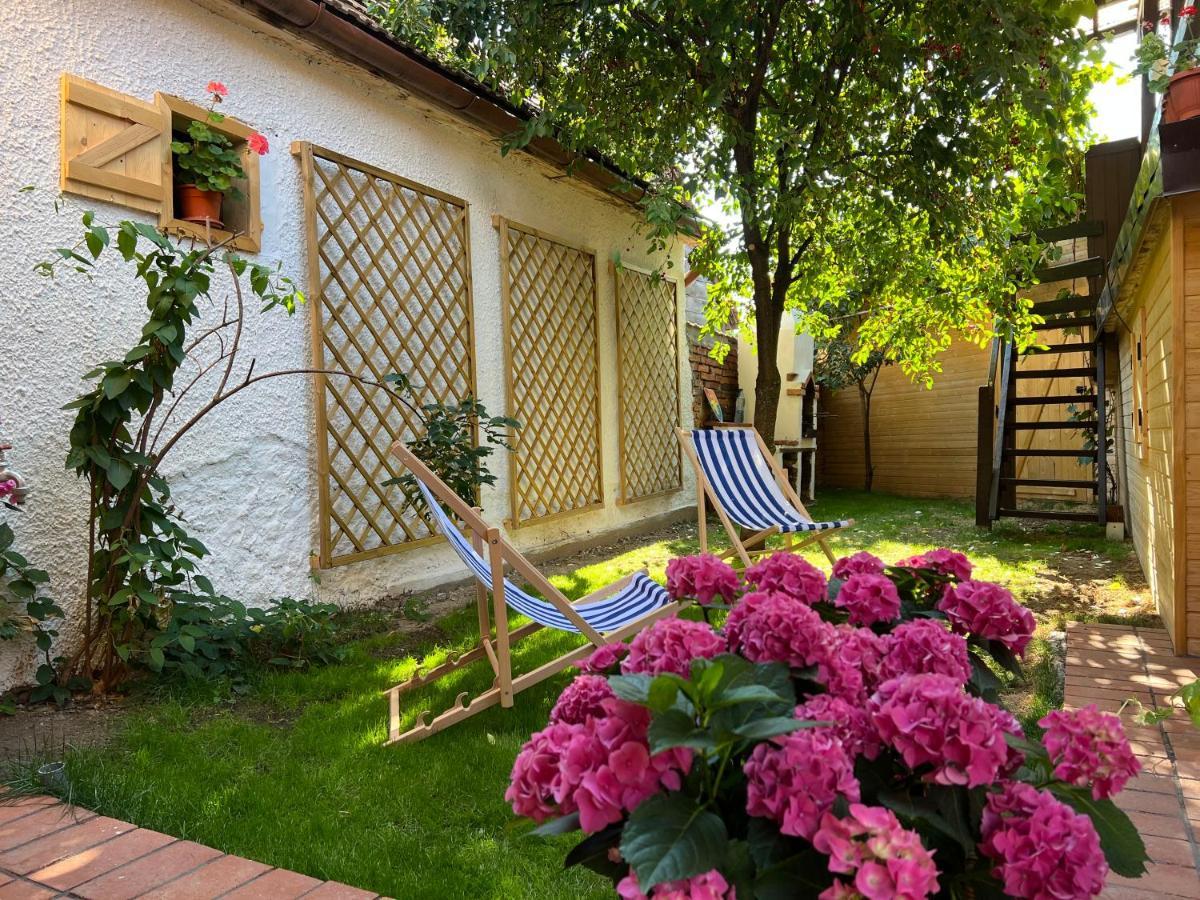 Victoria Gasthaus Rasnov - Charming Vacation House In Rasnov 외부 사진