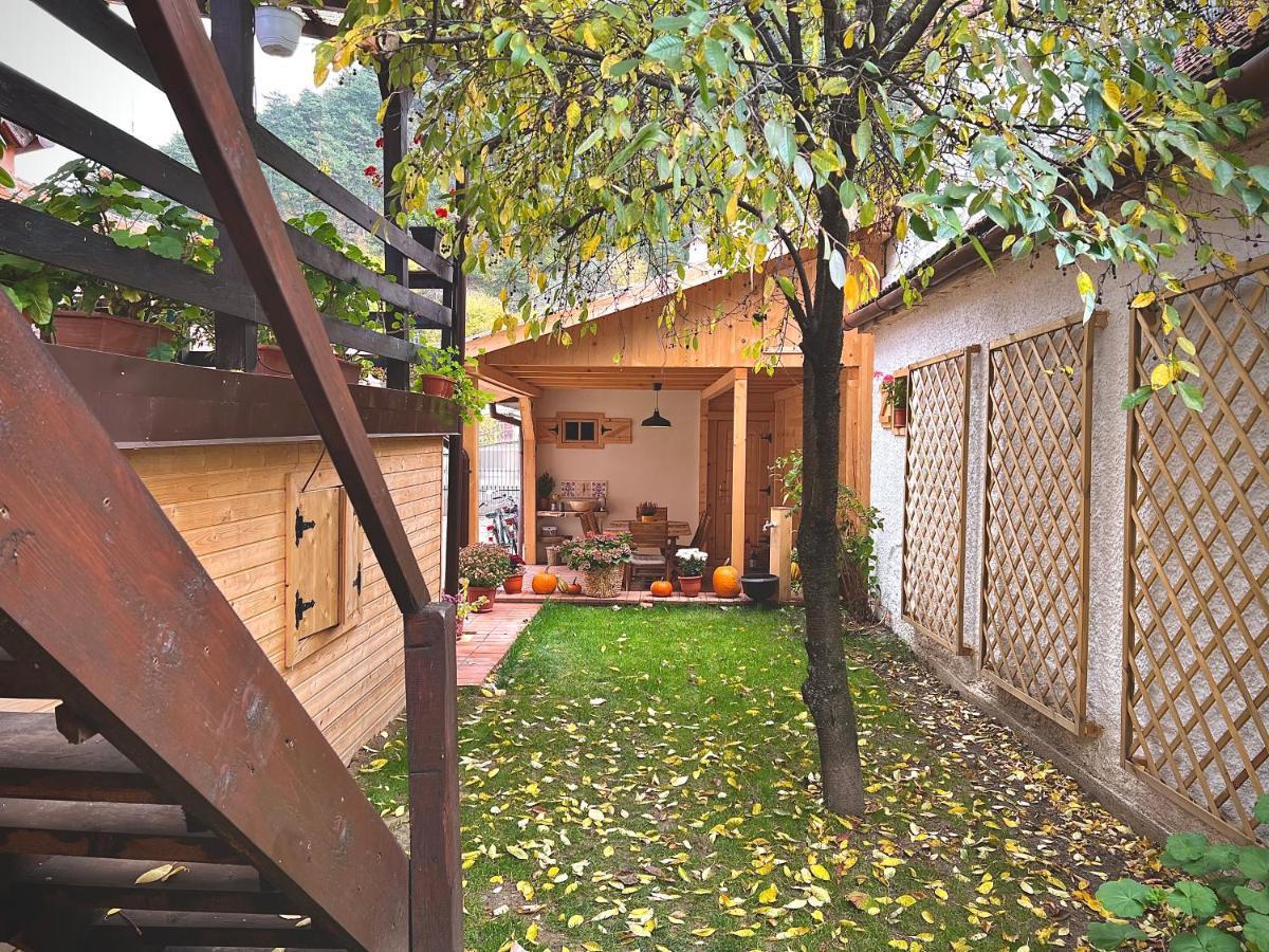 Victoria Gasthaus Rasnov - Charming Vacation House In Rasnov 외부 사진