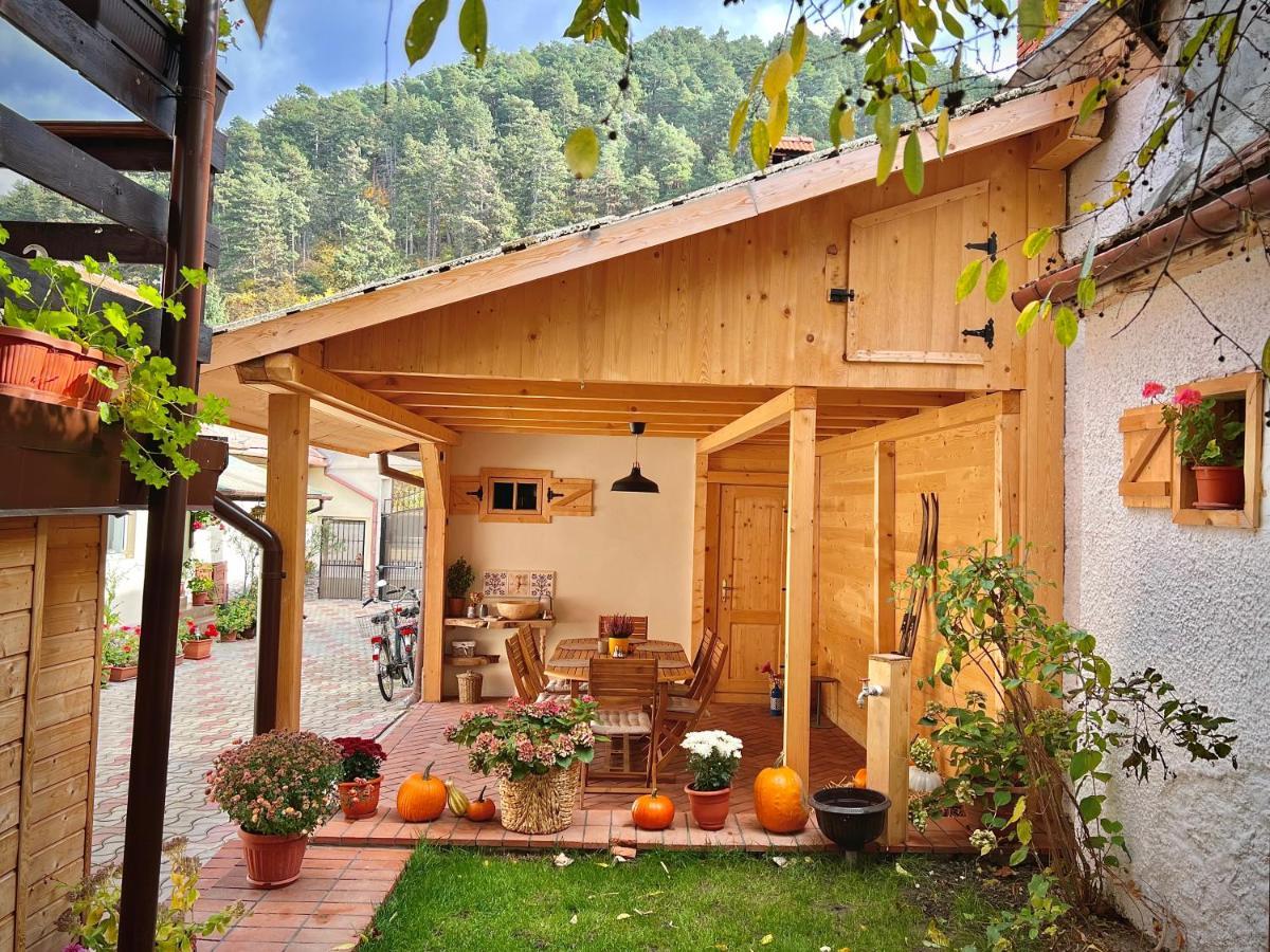 Victoria Gasthaus Rasnov - Charming Vacation House In Rasnov 외부 사진