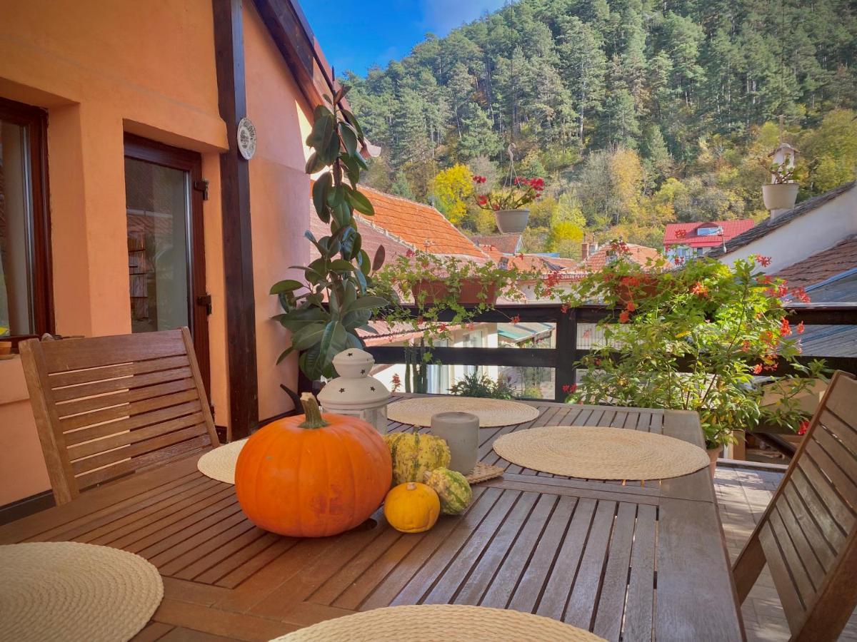 Victoria Gasthaus Rasnov - Charming Vacation House In Rasnov 외부 사진