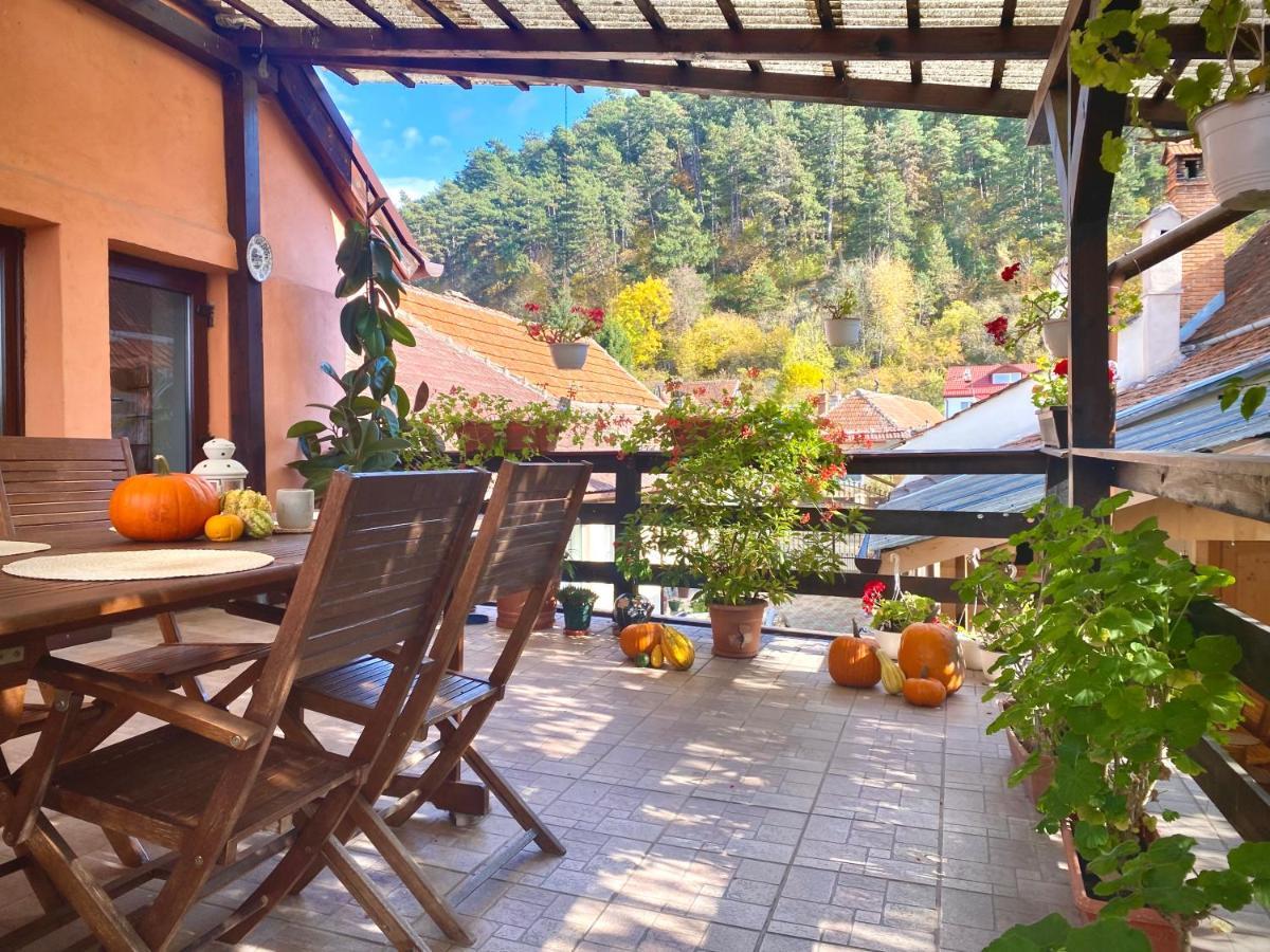 Victoria Gasthaus Rasnov - Charming Vacation House In Rasnov 외부 사진